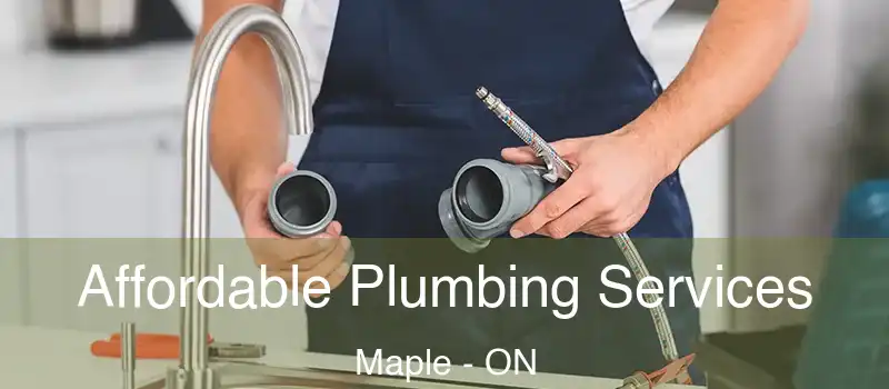  Affordable Plumbing Services Maple - ON