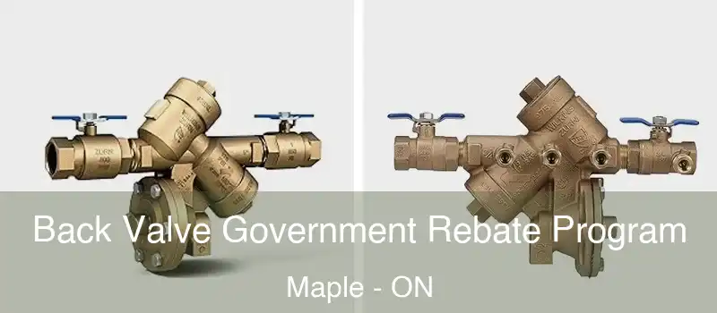  Back Valve Government Rebate Program Maple - ON