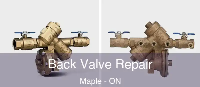  Back Valve Repair Maple - ON