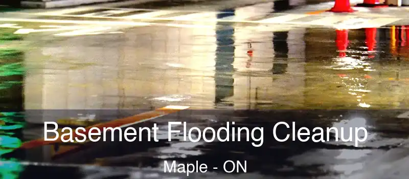  Basement Flooding Cleanup Maple - ON