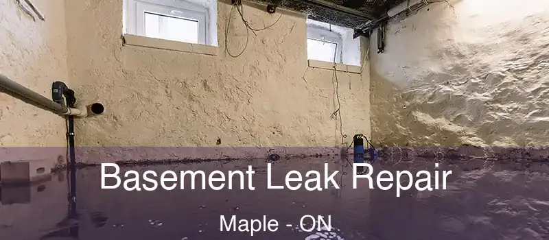  Basement Leak Repair Maple - ON