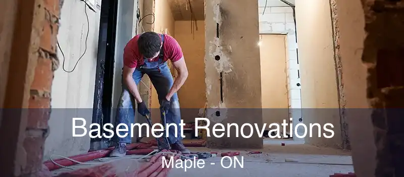  Basement Renovations Maple - ON