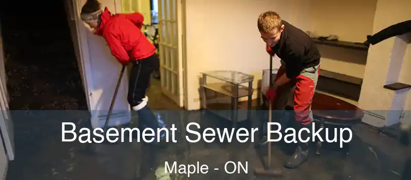  Basement Sewer Backup Maple - ON