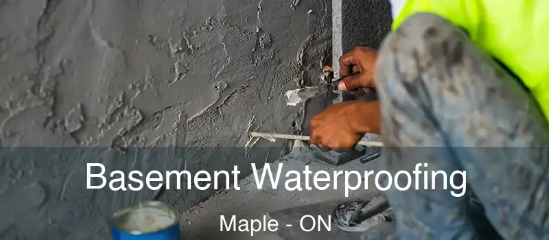  Basement Waterproofing Maple - ON