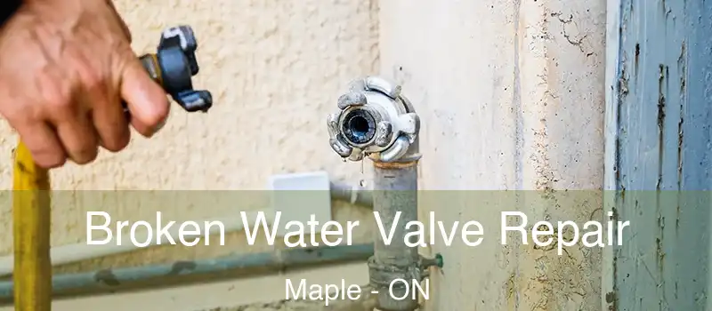  Broken Water Valve Repair Maple - ON