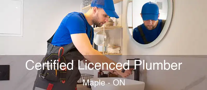  Certified Licenced Plumber Maple - ON
