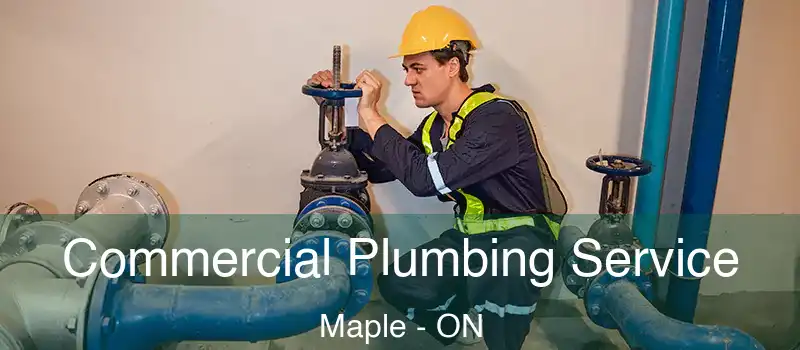  Commercial Plumbing Service Maple - ON