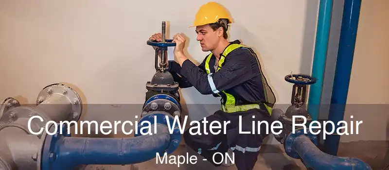  Commercial Water Line Repair Maple - ON