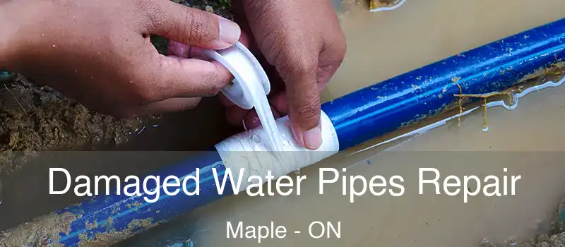 Damaged Water Pipes Repair Maple - ON