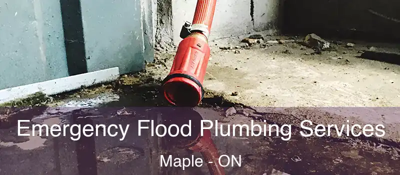  Emergency Flood Plumbing Services Maple - ON