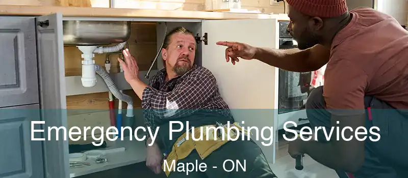  Emergency Plumbing Services Maple - ON