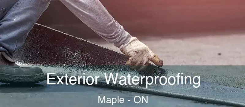  Exterior Waterproofing Maple - ON