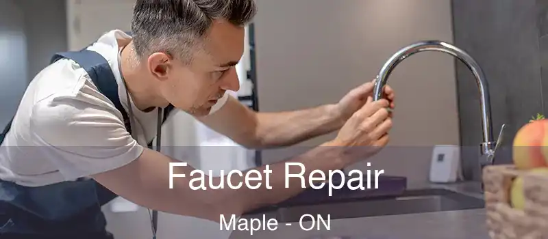  Faucet Repair Maple - ON