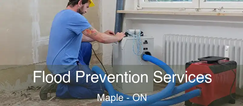  Flood Prevention Services Maple - ON