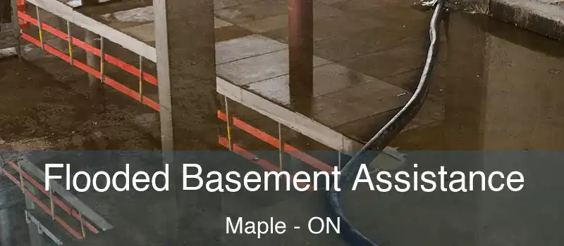  Flooded Basement Assistance Maple - ON