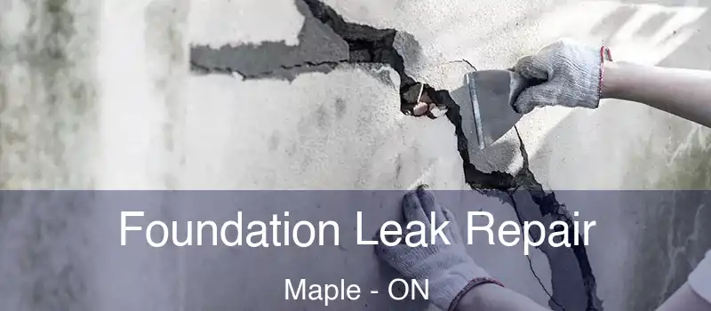  Foundation Leak Repair Maple - ON