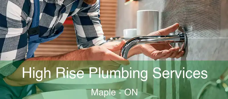  High Rise Plumbing Services Maple - ON
