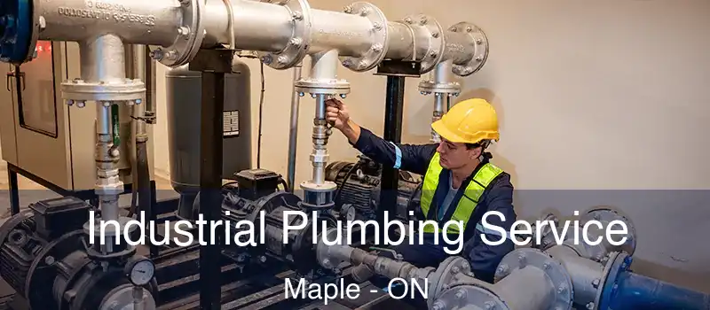  Industrial Plumbing Service Maple - ON