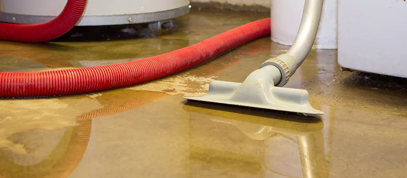 Professional Sewer Backup Cleanup Services in Maple, ON