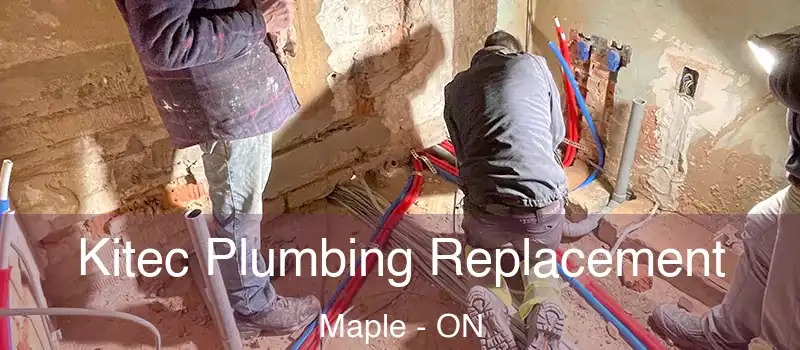  Kitec Plumbing Replacement Maple - ON