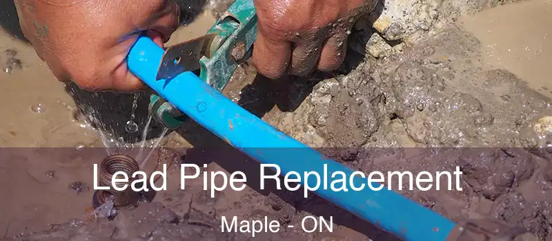  Lead Pipe Replacement Maple - ON