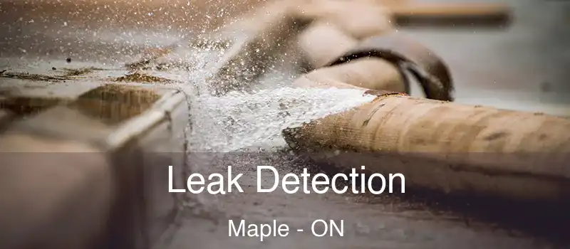  Leak Detection Maple - ON