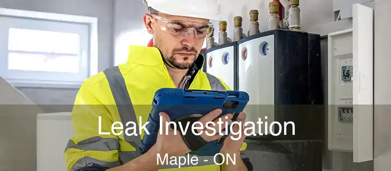  Leak Investigation Maple - ON