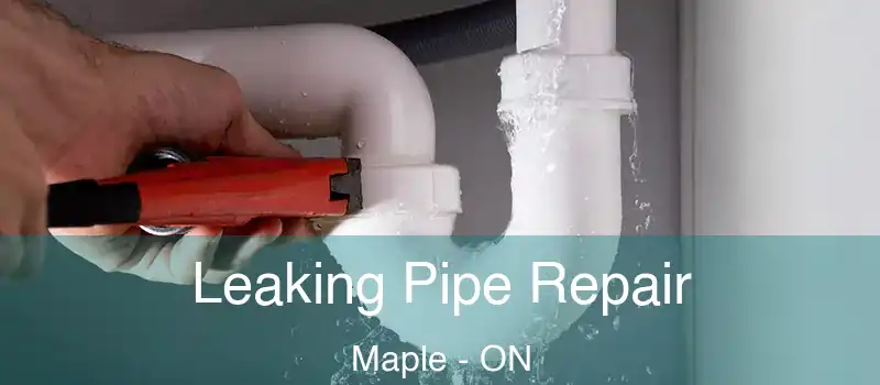  Leaking Pipe Repair Maple - ON