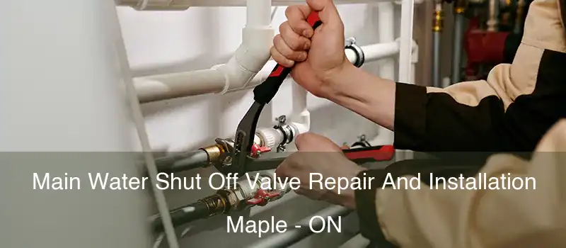  Main Water Shut Off Valve Repair And Installation Maple - ON