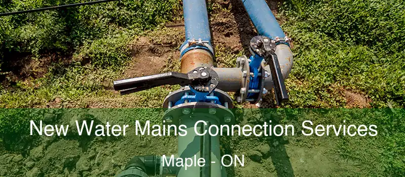  New Water Mains Connection Services Maple - ON