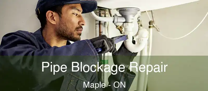  Pipe Blockage Repair Maple - ON