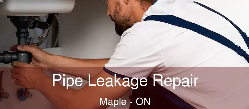  Pipe Leakage Repair Maple - ON