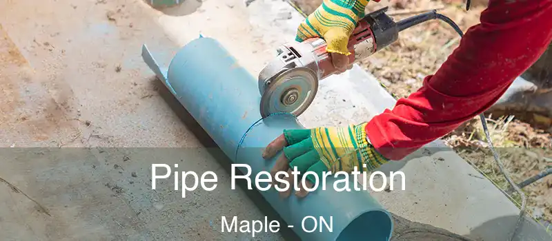  Pipe Restoration Maple - ON