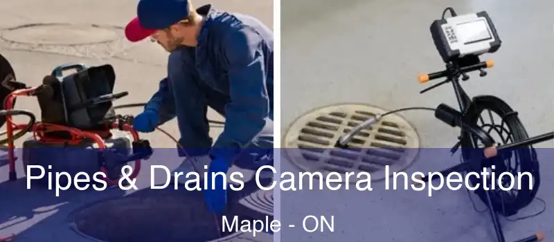  Pipes & Drains Camera Inspection Maple - ON