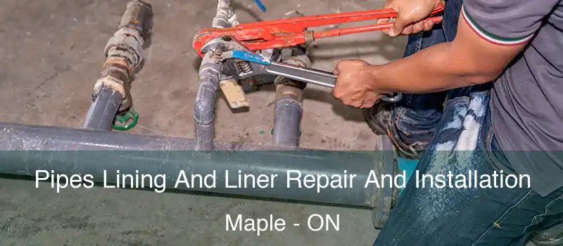  Pipes Lining And Liner Repair And Installation Maple - ON