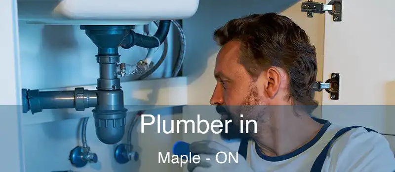  Plumber in Maple - ON