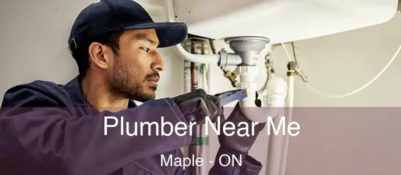  Plumber Near Me Maple - ON