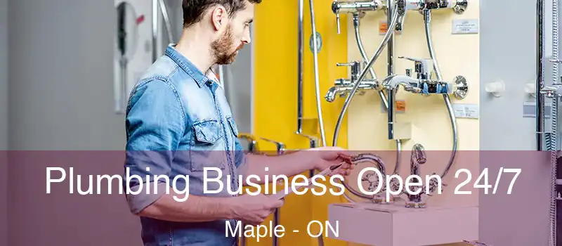  Plumbing Business Open 24/7 Maple - ON