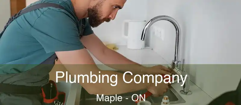  Plumbing Company Maple - ON