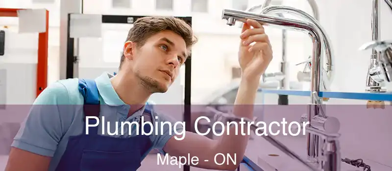  Plumbing Contractor Maple - ON