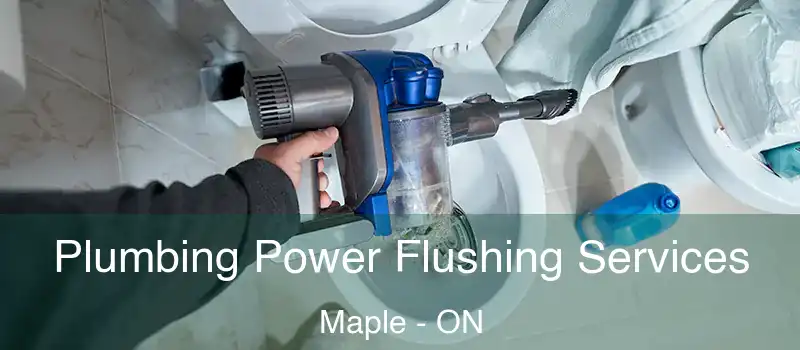  Plumbing Power Flushing Services Maple - ON