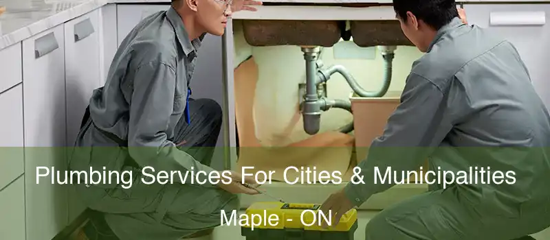  Plumbing Services For Cities & Municipalities Maple - ON