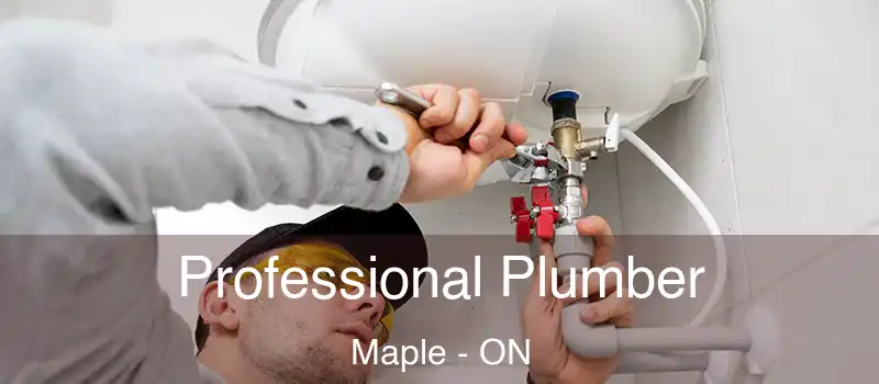  Professional Plumber Maple - ON