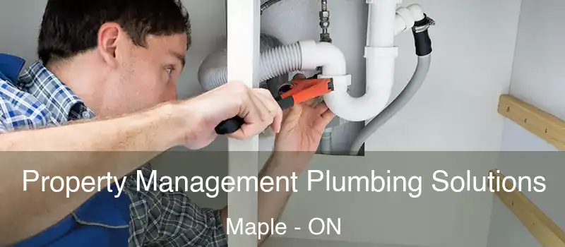  Property Management Plumbing Solutions Maple - ON