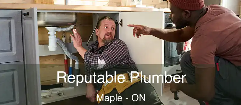  Reputable Plumber Maple - ON
