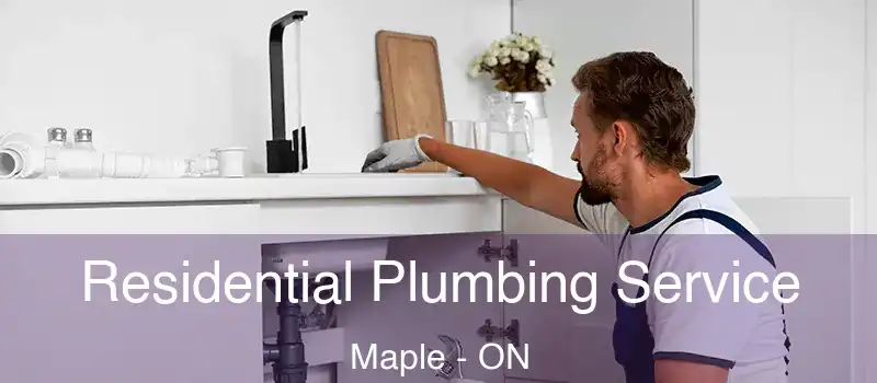  Residential Plumbing Service Maple - ON