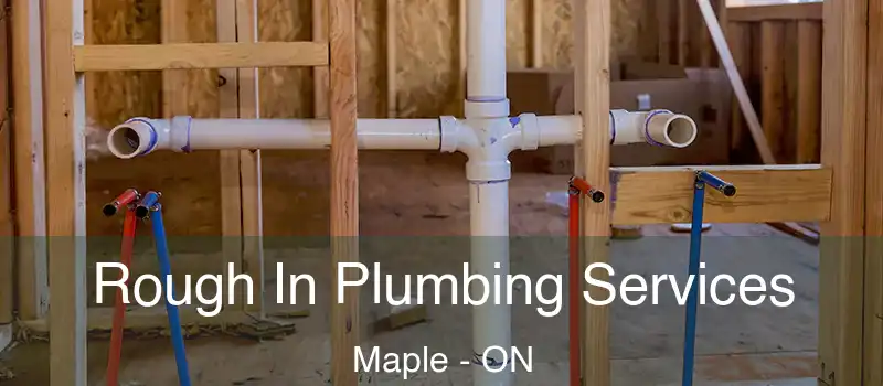  Rough In Plumbing Services Maple - ON