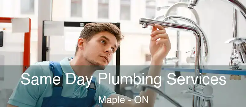  Same Day Plumbing Services Maple - ON
