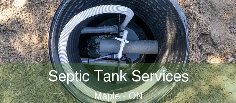  Septic Tank Services Maple - ON