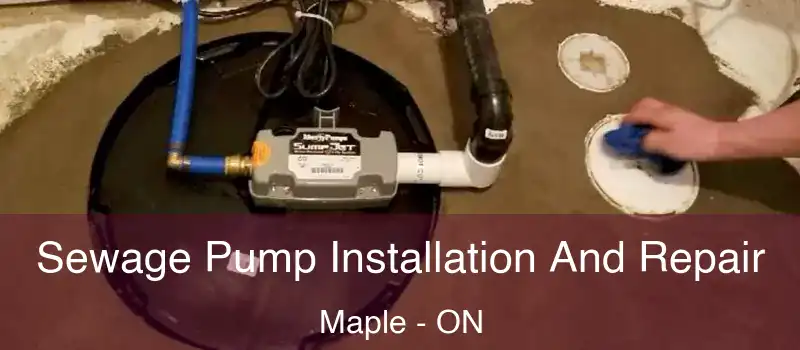  Sewage Pump Installation And Repair Maple - ON